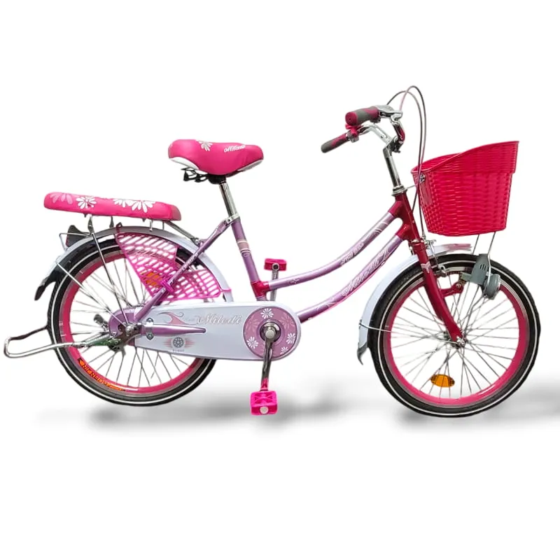 Bicicleta de paseo rodado 26
